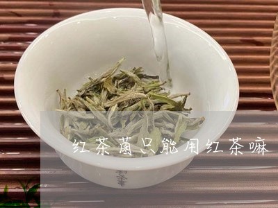 红茶菌只能用红茶嘛/2023041558614