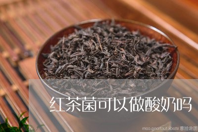 红茶菌可以做酸奶吗/2023031863918