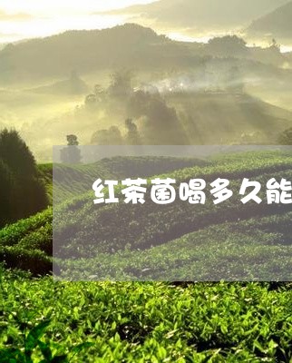 红茶菌喝多久能有效/2023041531738