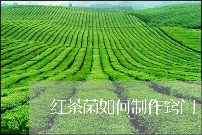 红茶菌如何制作窍门/2023041535280