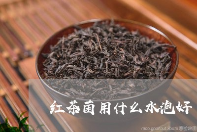 红茶菌用什么水泡好/2023031853616