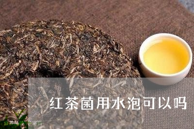 红茶菌用水泡可以吗/2023041505070