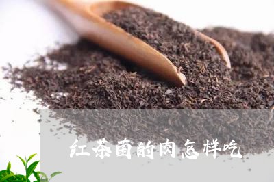 红茶菌的肉怎样吃/2023032315960