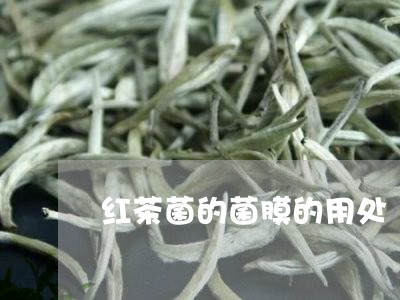 红茶菌的菌膜的用处/2023041527380