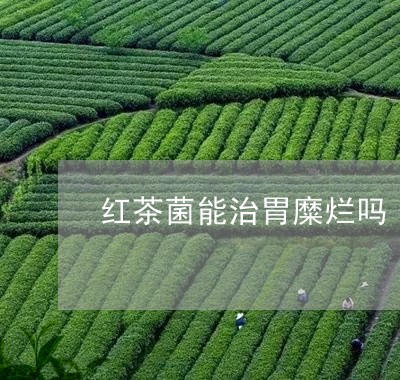 红茶菌能治胃糜烂吗/2023031917582