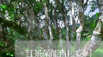 红茶菌能直接吃吗/2023032337037