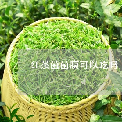 红茶菌菌膜可以吃吗/2023031962703