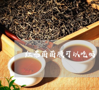 红茶菌菌膜可以吃吗/2023041505250