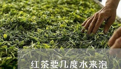 红茶要几度水来泡/2023032340603