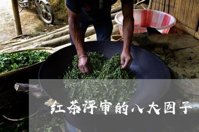 红茶评审的八大因子/2023031969493