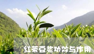 红茶豆浆功效与作用/2023041512503