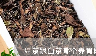 红茶跟白茶哪个养胃好些/2023032714157