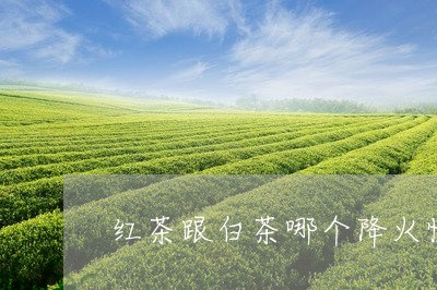 红茶跟白茶哪个降火快些/2023032792692