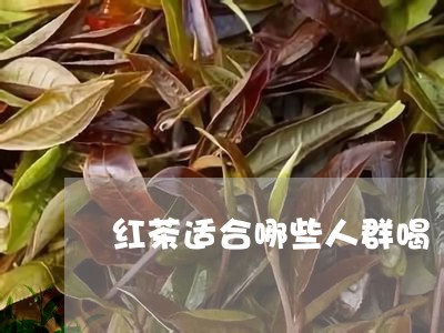 红茶适合哪些人群喝/2023041517270