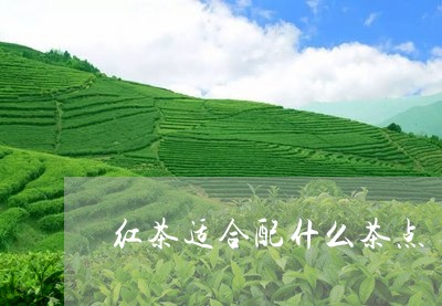 红茶适合配什么茶点/2023041672726