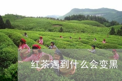 红茶遇到什么会变黑/2023041403716