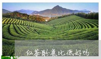 红茶酚氨比低好吗/2023032380581