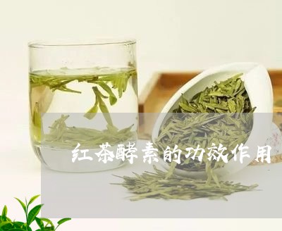 红茶酵素的功效作用/2023041554626