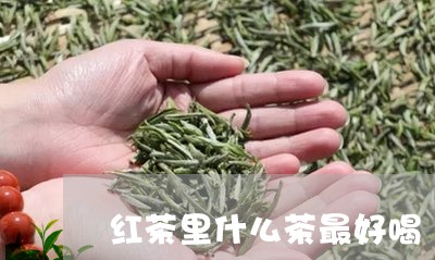 红茶里什么茶最好喝/2023031950836