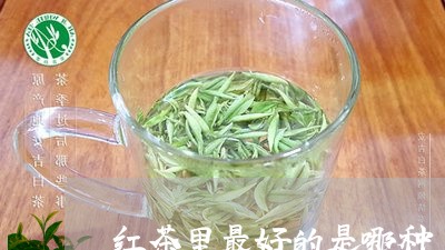 红茶里最好的是哪种/2023031970605