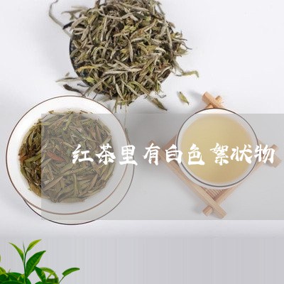 红茶里有白色絮状物/2023041487582