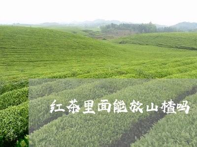 红茶里面能放山楂吗/2023041534927