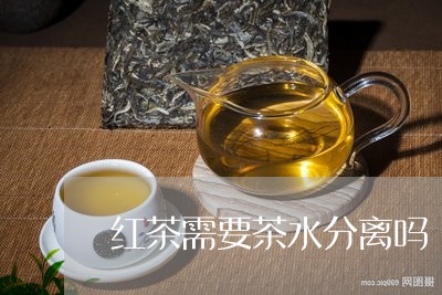 红茶需要茶水分离吗/2023041505826