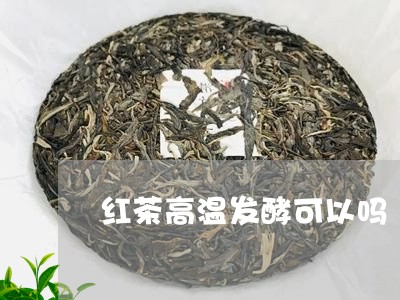 红茶高温发酵可以吗/2023031938481