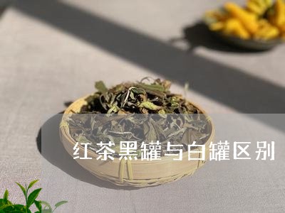 红茶黑罐与白罐区别/2023031901724