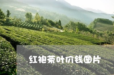 红袍茶叶价钱图片/2023032502715