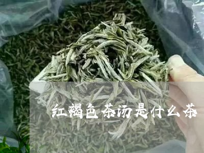 红褐色茶汤是什么茶/2023031932783