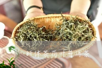 纤体茶荷叶普洱茶/2023031584959