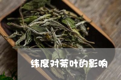 纬度对茶叶的影响/2023032585069