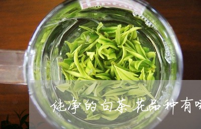 纯净的白茶花品种有哪些/2023032727482