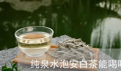 纯泉水泡安白茶能喝吗/2023032751503