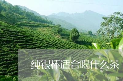 纯银杯适合喝什么茶/2023041548090