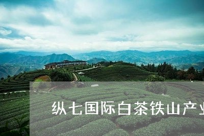 纵七国际白茶铁山产业园/2023032760595