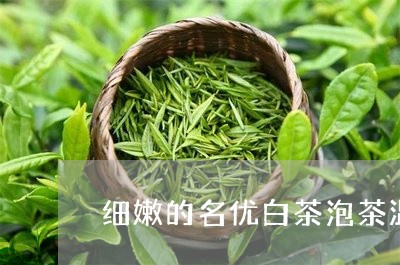 细嫩的名优白茶泡茶温度/2023032774915