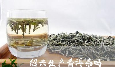 绍兴生产普洱茶吗/2023031781814