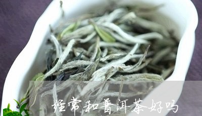 经常和普洱茶好吗/2023041094360