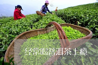 经常喝普洱茶上瘾/2023041047261