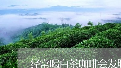 经常喝白茶咖啡会发胖吗/2023032741814