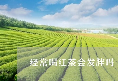 经常喝红茶会发胖吗/2023031934613