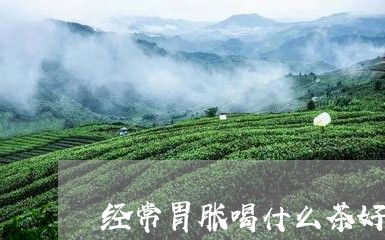 经常胃胀喝什么茶好/2023041510593