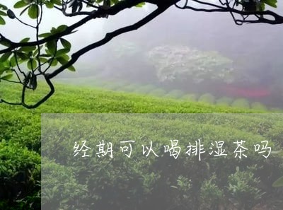 经期可以喝排湿茶吗/2023041496359