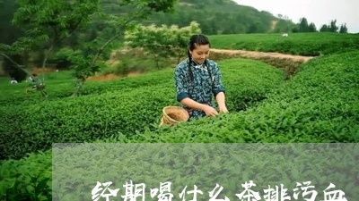 经期喝什么茶排污血/2023031977371