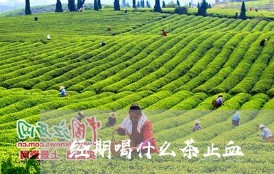 经期喝什么茶止血/2023032286170