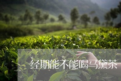 经期能不能喝马黛茶/2023041415392