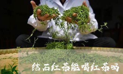 结石红茶能喝红茶吗/2023031983917