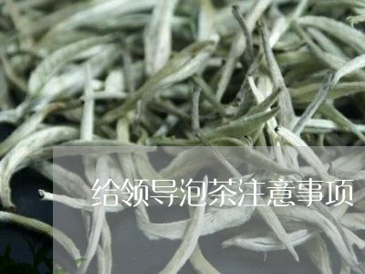 给领导泡茶注意事项/2023041666069